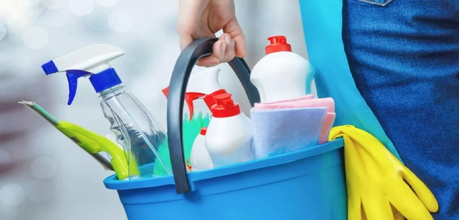 “Las trabajadoras de casas particulares vivimos…