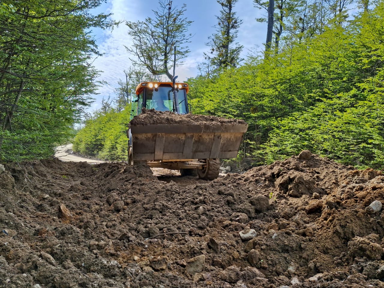 Avanzan los trabajos de mantenimiento en la ruta provincial N°119, en la reserva forestal Bombilla