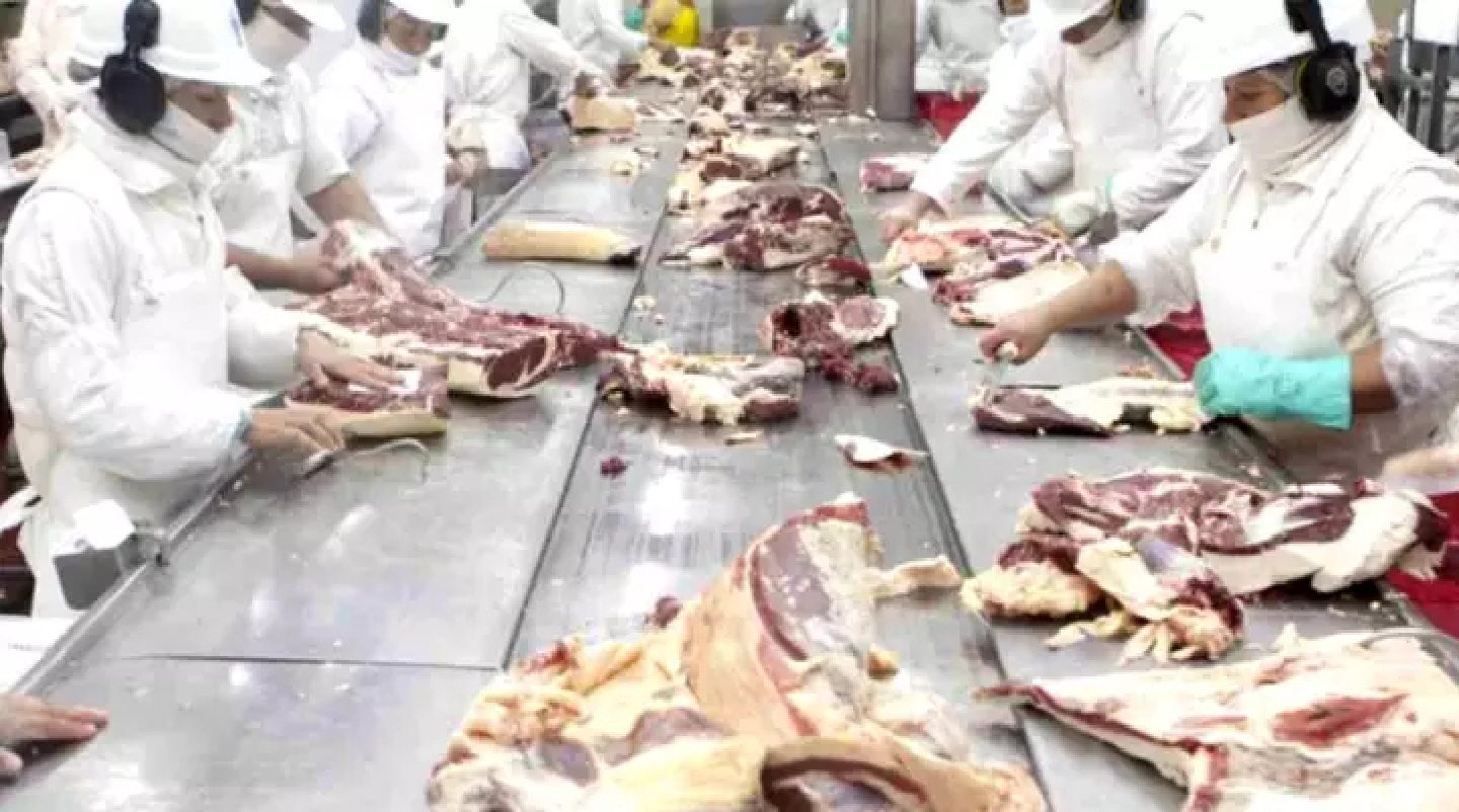 Chile reabre su mercado a la carne bovina proveniente de la Patagonia argentina
