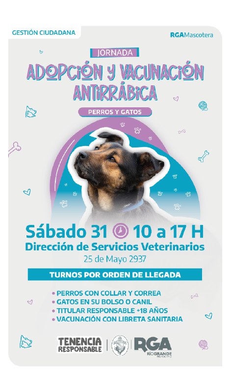 Este sábado habrá jornada gratuita de vacunación antirrábica y adopción responsable en Río Grande