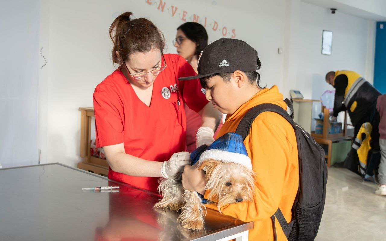 Nueva jornada de vacunación antirrábica y chipeo para mascotas en Río Grande