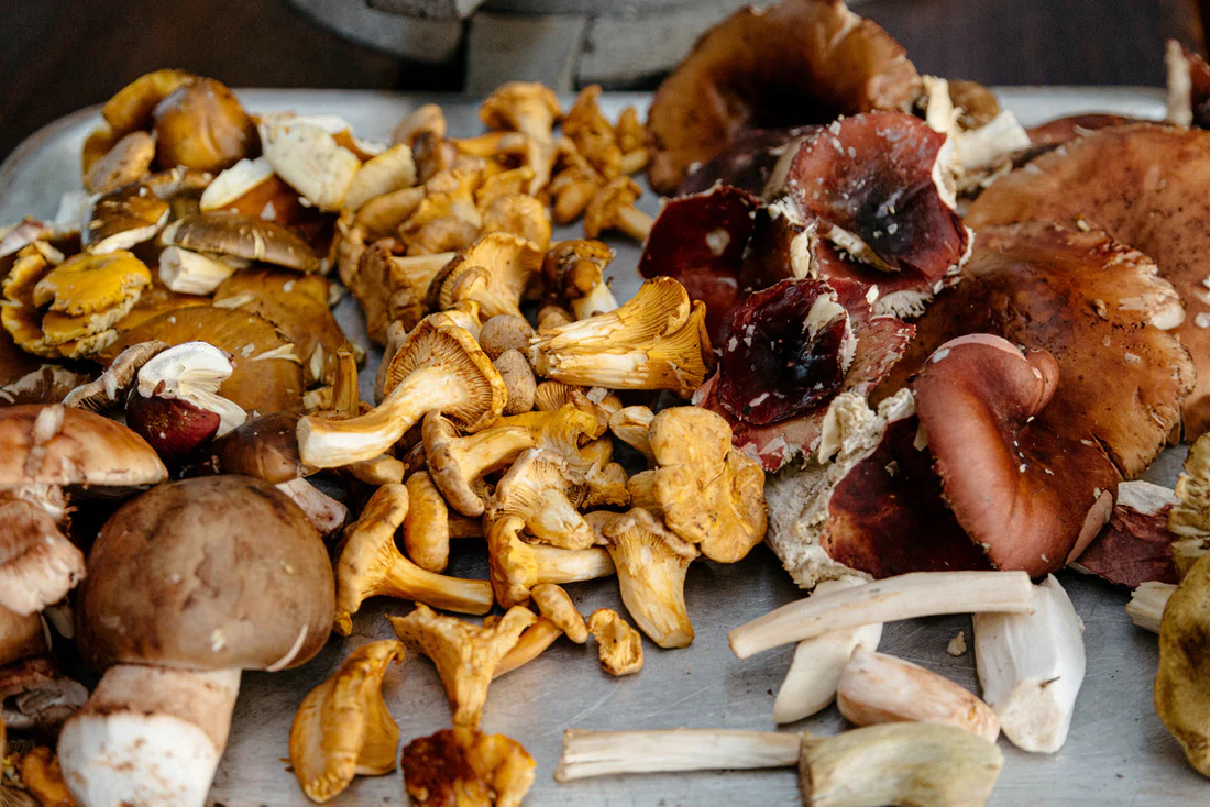 Invitan a participar de clases abiertas de cocina con hongos en Río Grande y Ushuaia