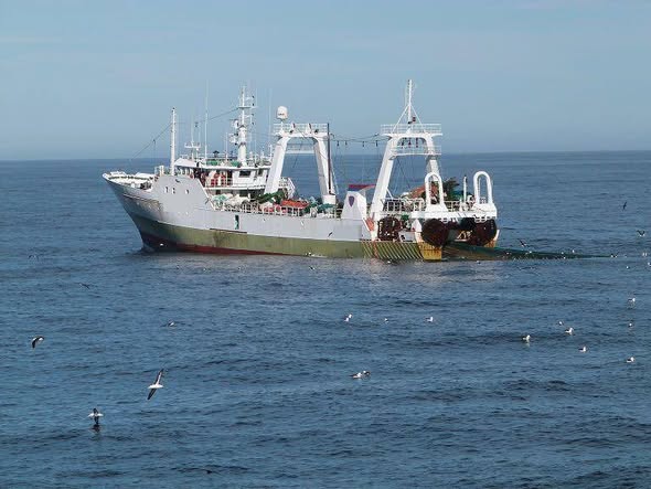 Denuncian que el Reino Unido extrae más de 260 mil toneladas anuales de recursos del Mar Argentino en Malvinas