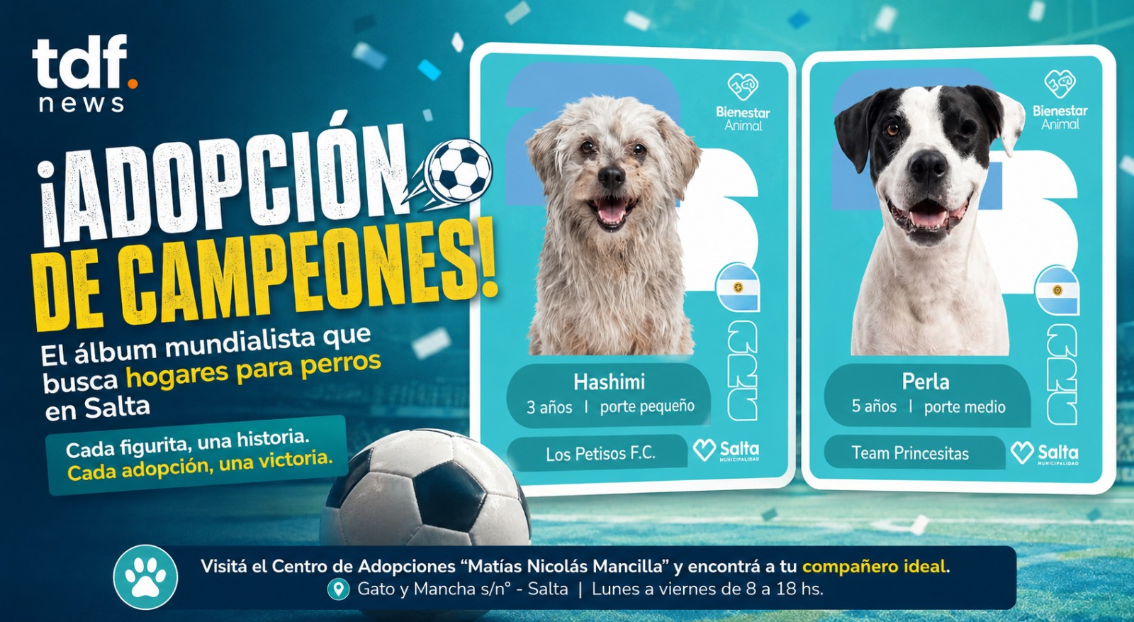 La campaña de adopción de perros con temática mundialista genera impacto en Salta