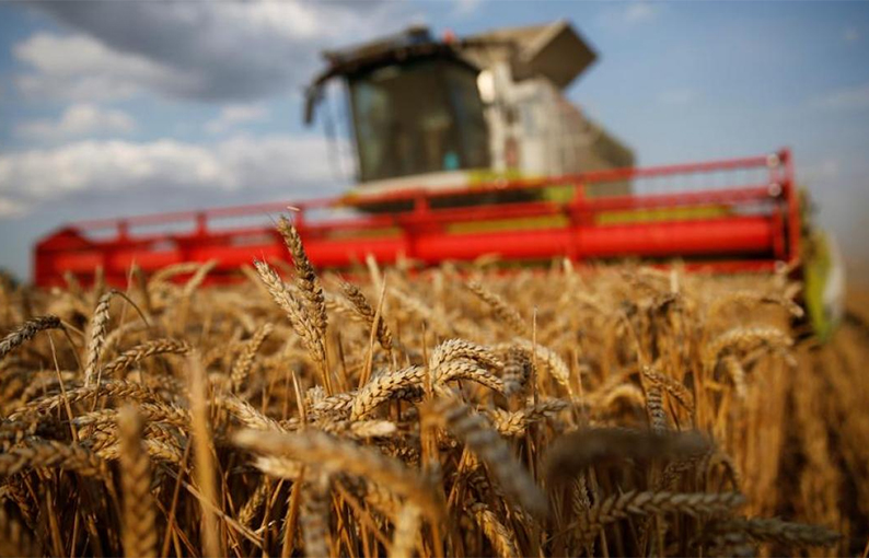 La baja de retenciones al agro reducirá ingresos del Estado pero mejorará la rentabilidad del campo