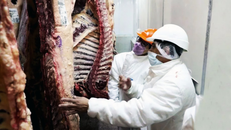 Senasa eliminó la obligatoriedad del director técnico en&hellip;