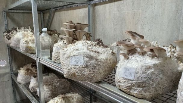 Río Grande apuesta a la producción tecnológica de&hellip;